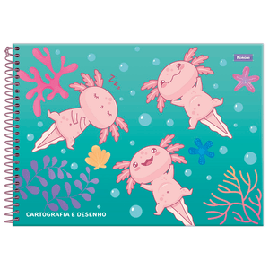 Cartografia C.D. 80 Fls Foroni - Axolove 1